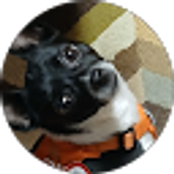 Profile photo of Judy Duncan