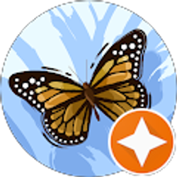 Profile photo of Selena Groover