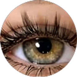 Profile photo of Denira Villegas