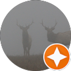 Profile photo of Tom Andersen