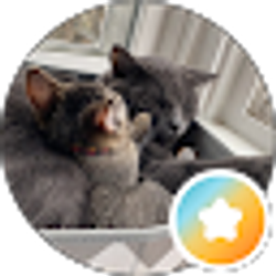 Profile photo of T