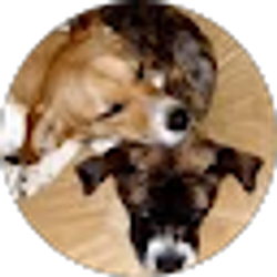 Profile photo of Molly Goldreich