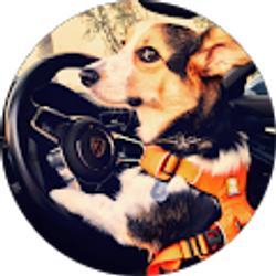 Profile photo of David Smith