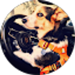 Profile photo of David Smith
