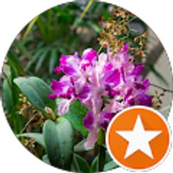 Profile photo of Sarah DeLong-Duhon