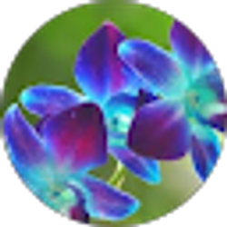 Profile photo of Caroline Siefken