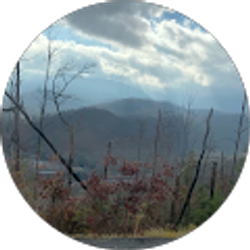 Profile photo of David Lozada