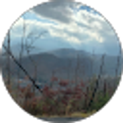 Profile photo of David Lozada