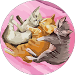 Profile photo of Julia Collins