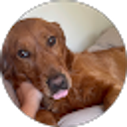 Profile photo of Jaeda Decker