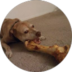 Profile photo of Mr R