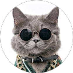 Profile photo of JC Cooper