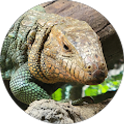 Profile photo of Robert Liam