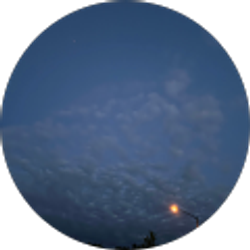 Profile photo of Lilly Webster