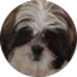 Profile photo of Braylon Parker