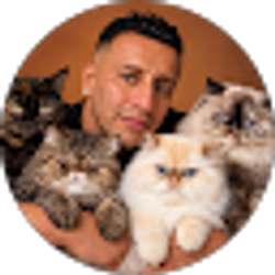 Profile photo of Jorge Alatriste