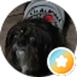 Profile photo of J Moore