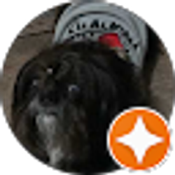 Profile photo of J Moore