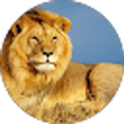 Profile photo of King Lion