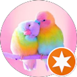 Profile photo of Wendy C.