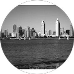 Profile photo of eugene mishchenkov