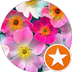 Profile photo of Brown princess