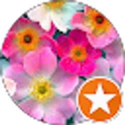 Profile photo of Brown princess