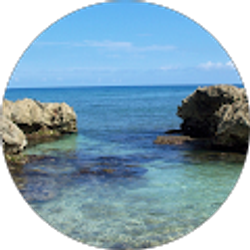 Profile photo of Cory Macke