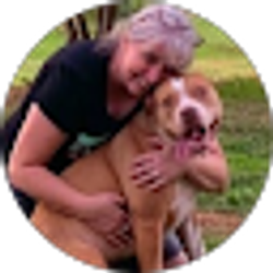 Profile photo of Lisa Martinelli