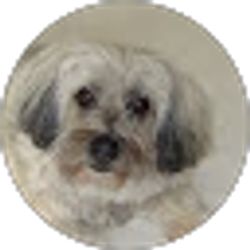 Profile photo of Rosemary Sadler