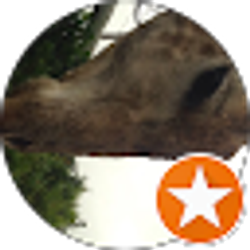 Profile photo of Paul Meyers