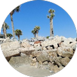 Profile photo of Tessia Robison