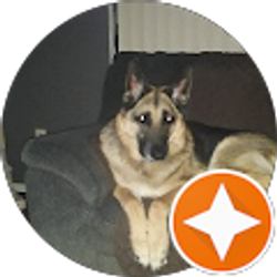 Profile photo of Patti Davis