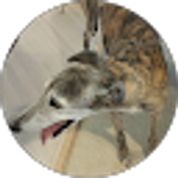 Profile photo of Steve Null