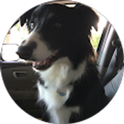 Profile photo of Jill Leonard