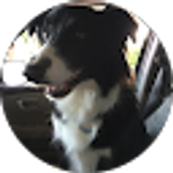 Profile photo of Jill Leonard