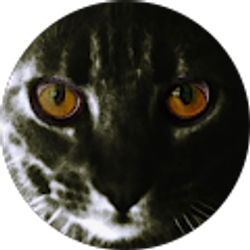 Profile photo of A McDown