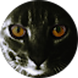 Profile photo of A McDown
