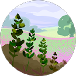 Profile photo of Deb