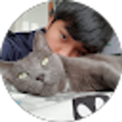 Profile photo of Ryan Tin
