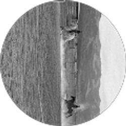 Profile photo of Brandon Ryan