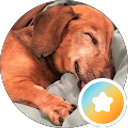 Profile photo of Be Great!