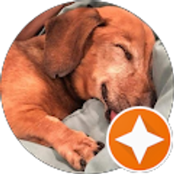 Profile photo of Be Great!