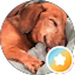 Profile photo of Be Great!