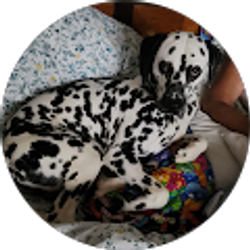 Profile photo of Kellie Pauley