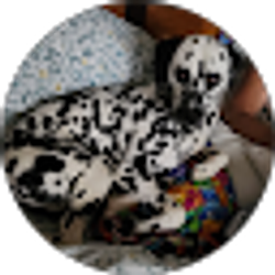 Profile photo of Kellie Pauley