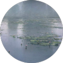 Profile photo of Domenico