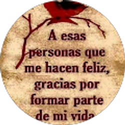 Profile photo of yamileth mayorga