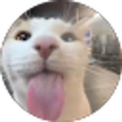 Profile photo of Aylah