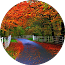 Profile photo of Byreddy Gangadhar